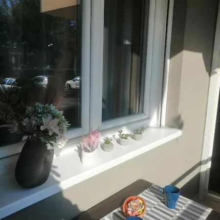 Apartman River Sremska Mitrovica